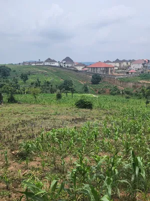 Asokoro Abuja Estate Land For Sale