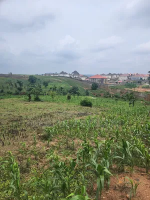 Asokoro Abuja Estate Land for Sale