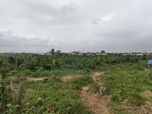 Plots of Landed Property for Sale at Erunwe, Ikorodu