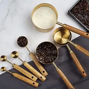 Luxury Gold Measuring Spoon Set
