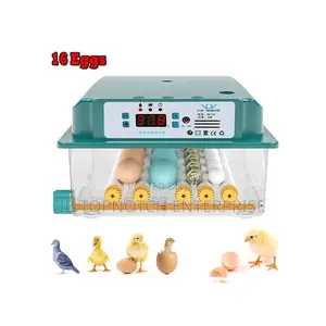 The Ultimate Hatching Machine: 16 Eggs, Intelligent Control