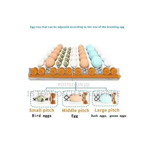 The Ultimate Hatching Machine: 16 Eggs, Intelligent Control