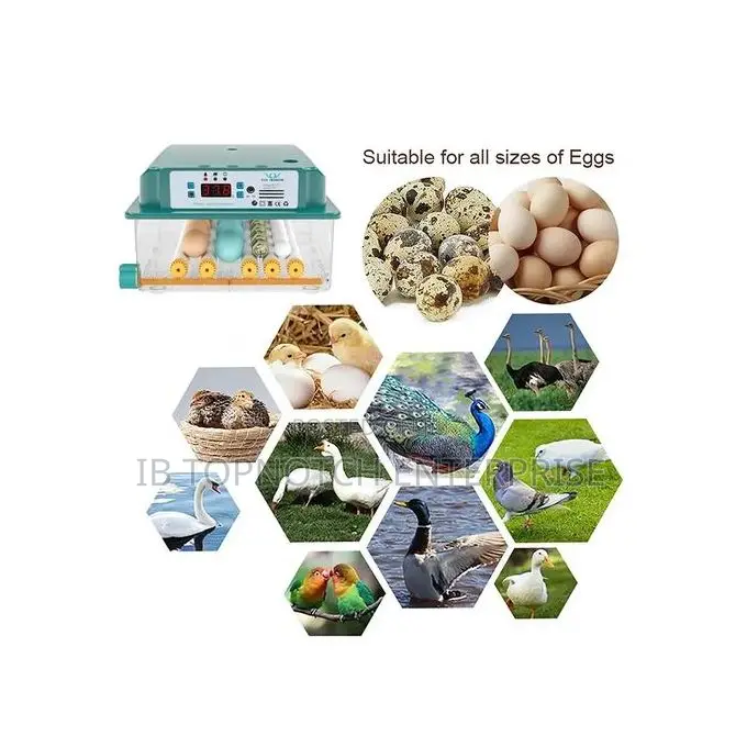 The Ultimate Hatching Machine: 16 Eggs, Intelligent Control