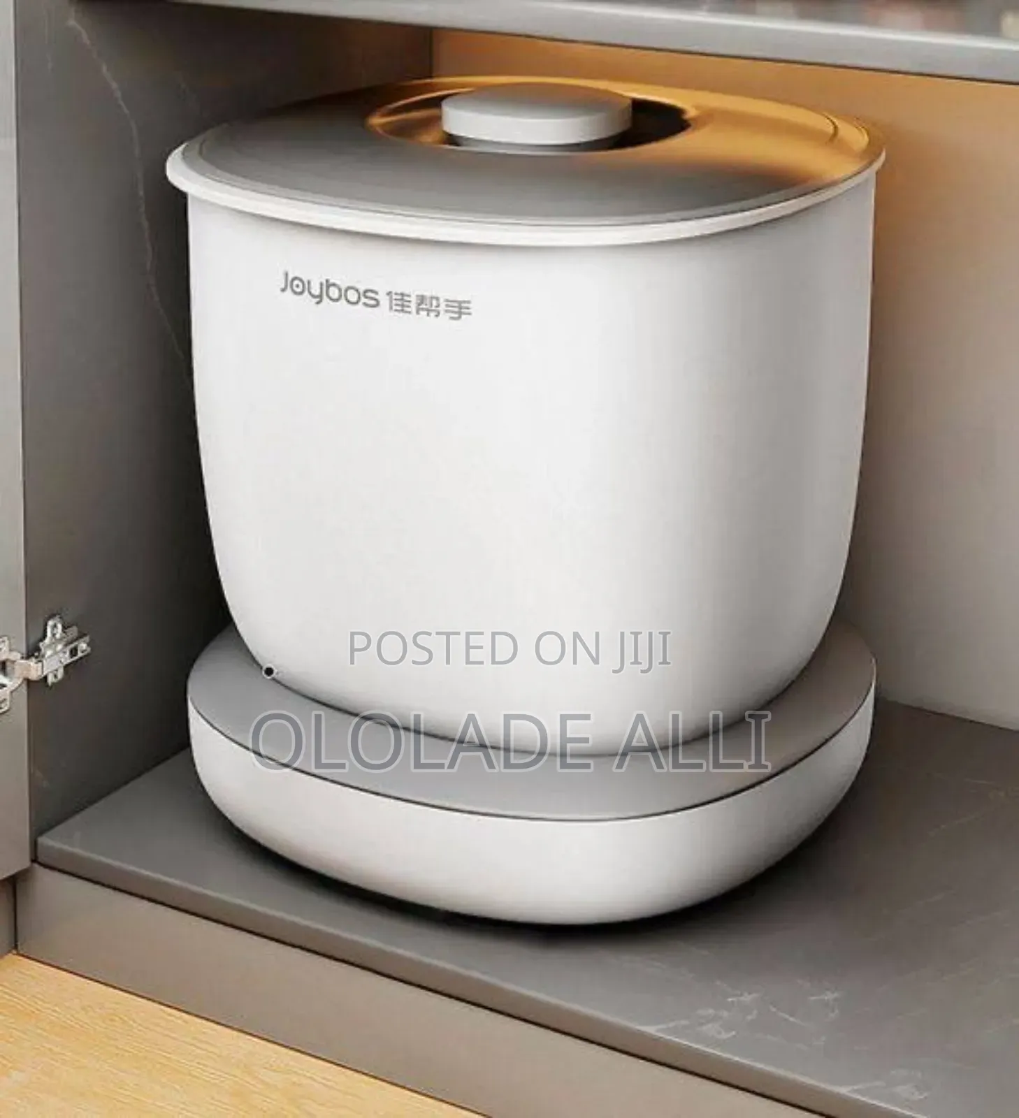 Rice Dispenser and Rice Bucket