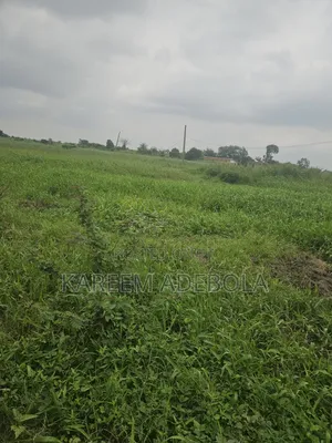 Residential Housing Estate Land at Wasa District Abuja