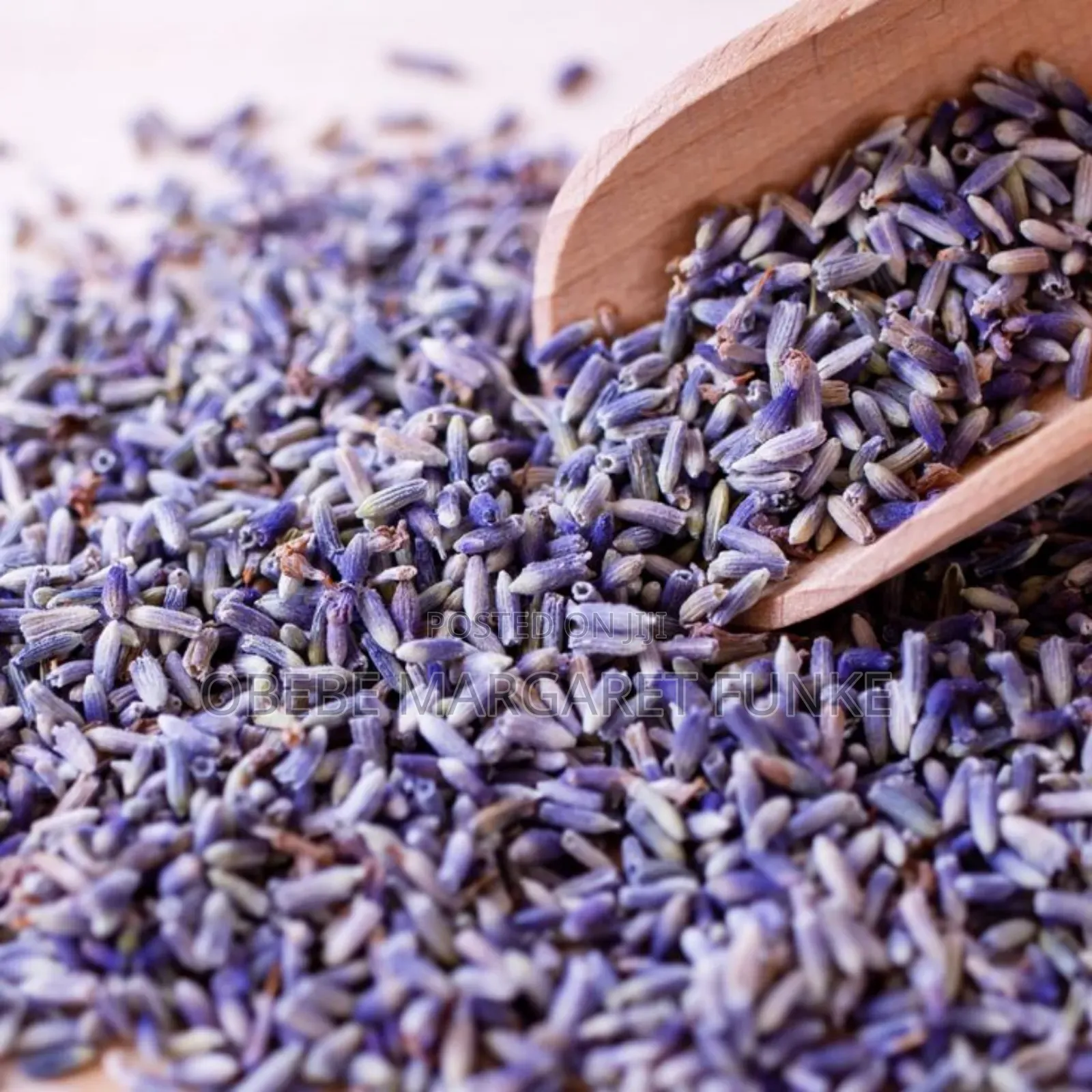 Lavender Buds