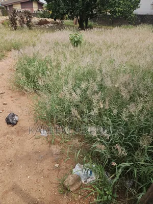 Mixed Use Land Off Gana Street Maitama