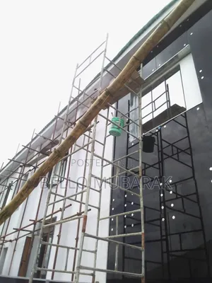 Professional Painter And Screeding Expert