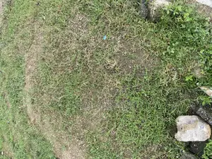 Photo - Jv Jv at Wuse 2, Abuja. No Premium. Size: 1 Hectare.