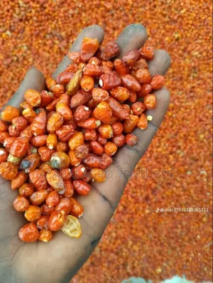 Photo - Chilli Pepper
