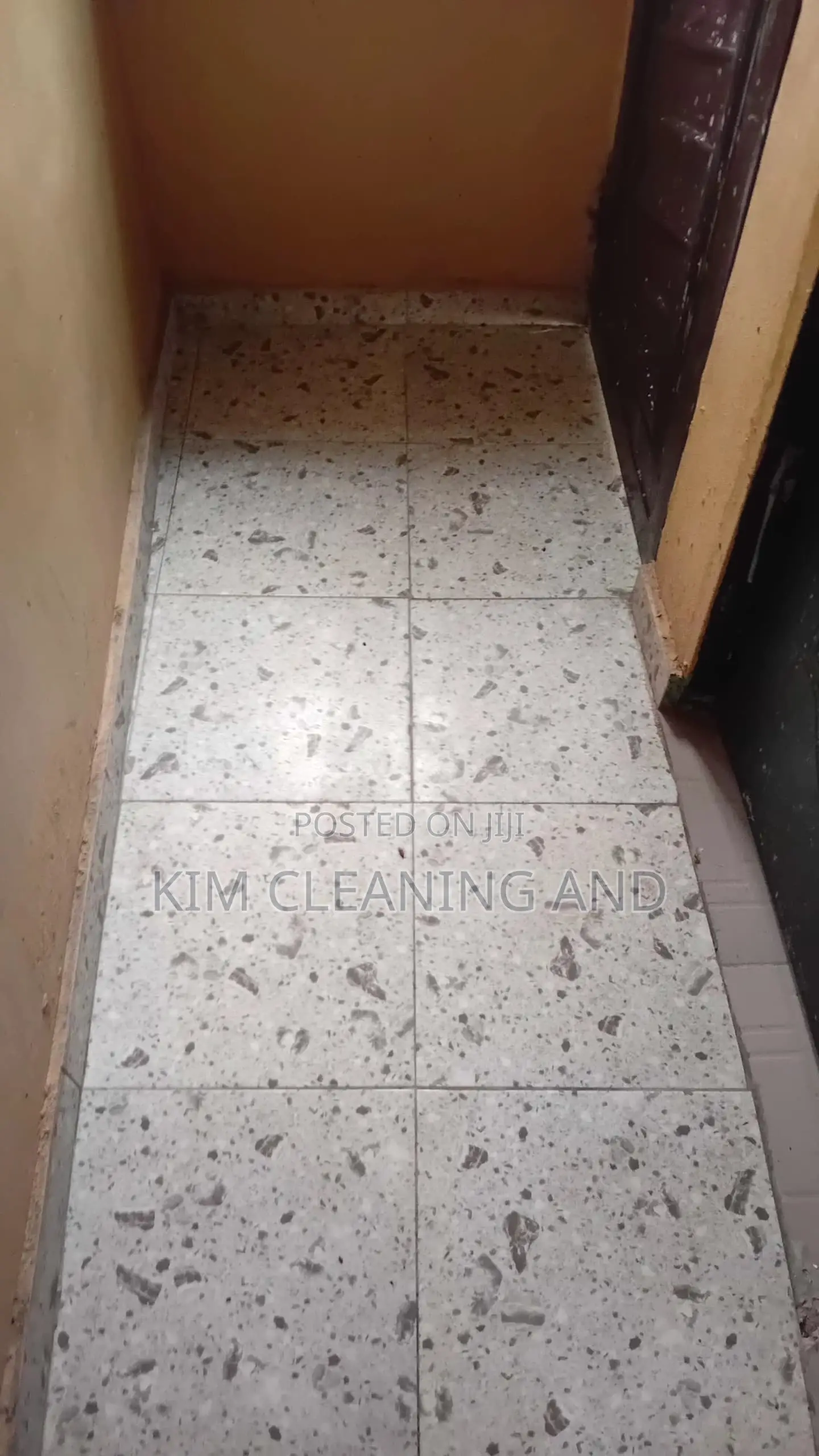 Cleaning Services