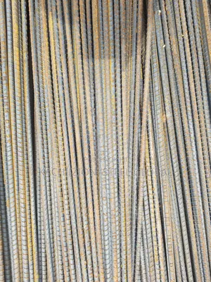 Standard Royal Y10mm TMT Iron Rod
