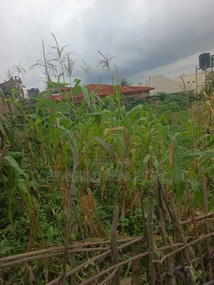 Over 1plot of Land at Alpha Grace Estate