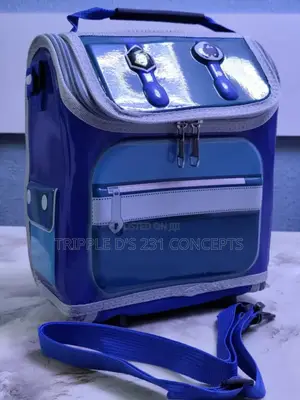 Back to School Lunch Bag