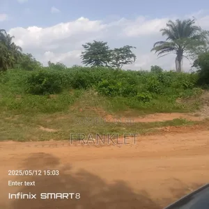 Virgin Land at Asaba