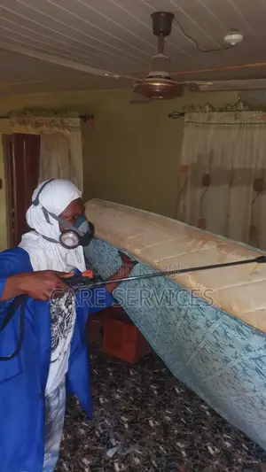 Bedbug Fumigation Service Available Now