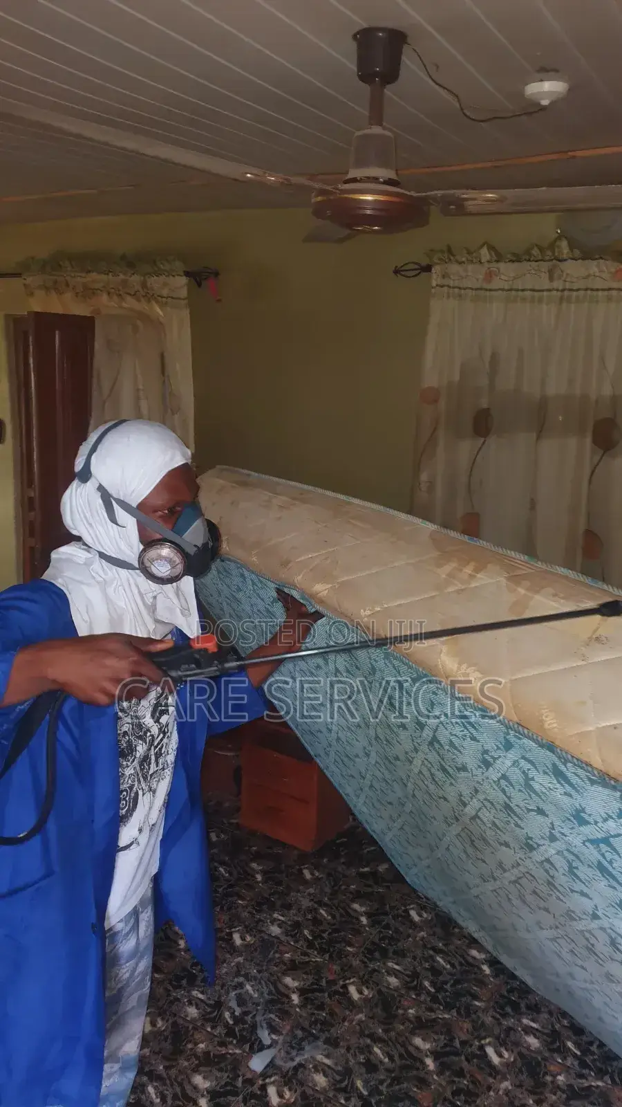 Bedbug Fumigation Service Available Now