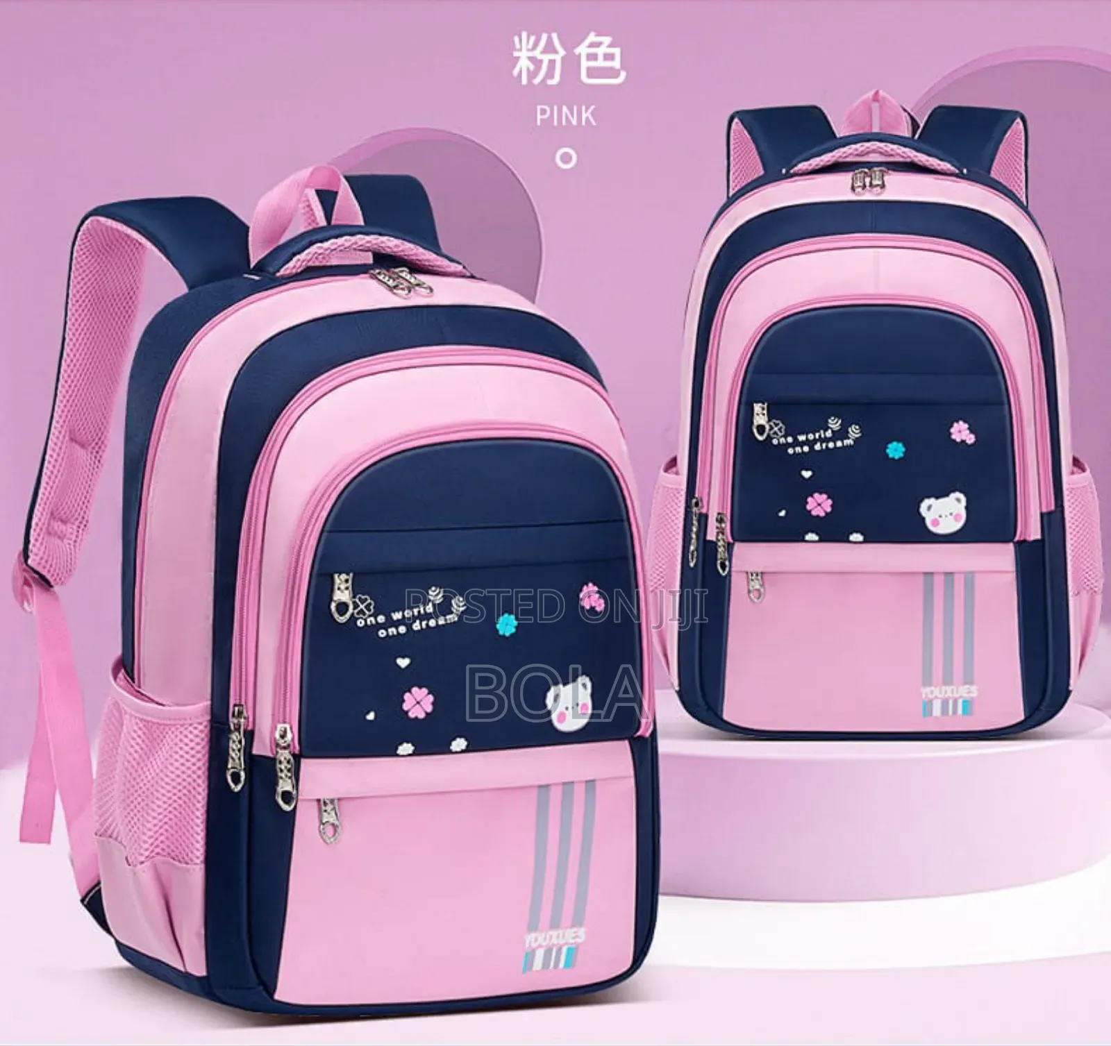 School Bag/Backpack