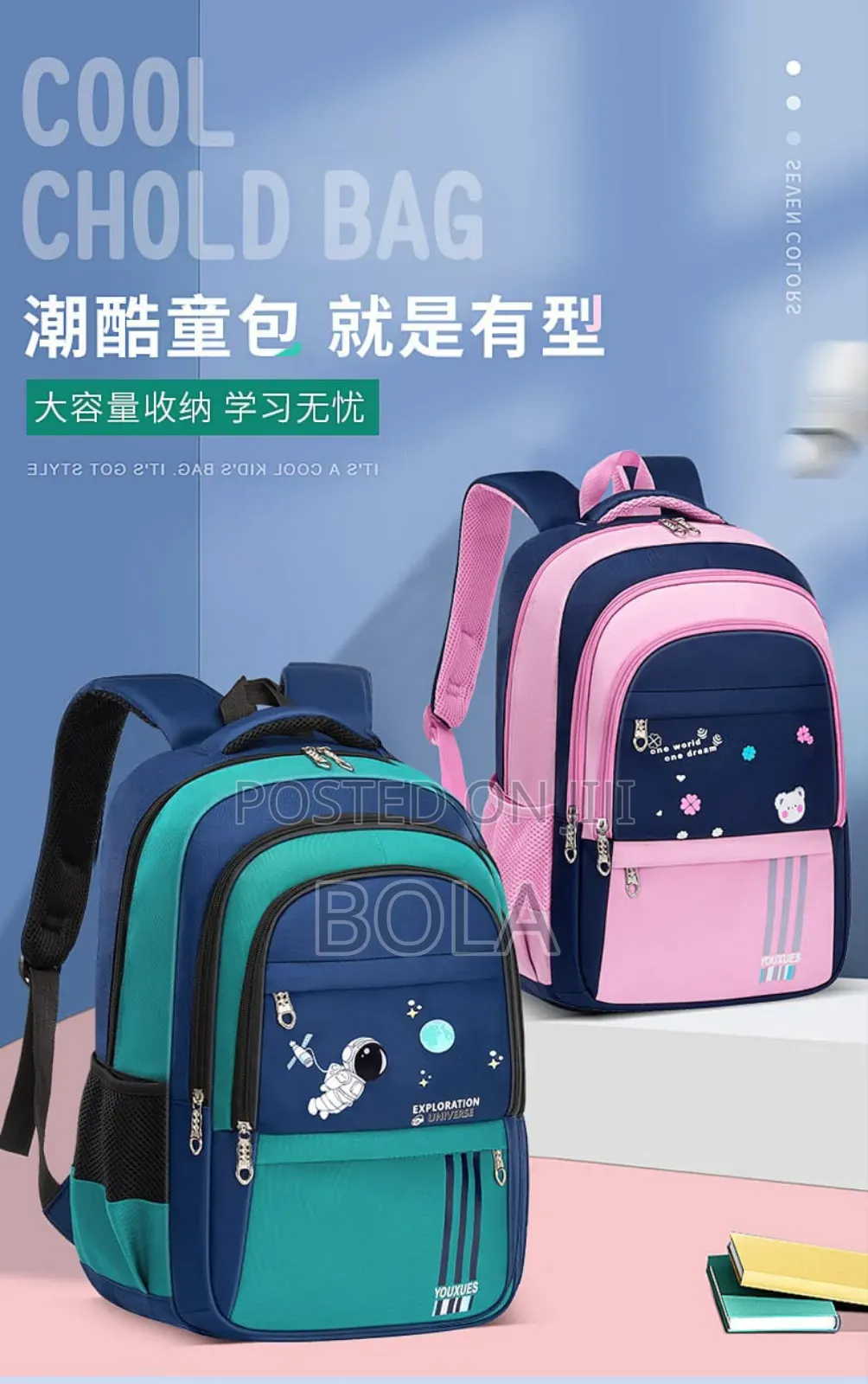 School Bag/Backpack