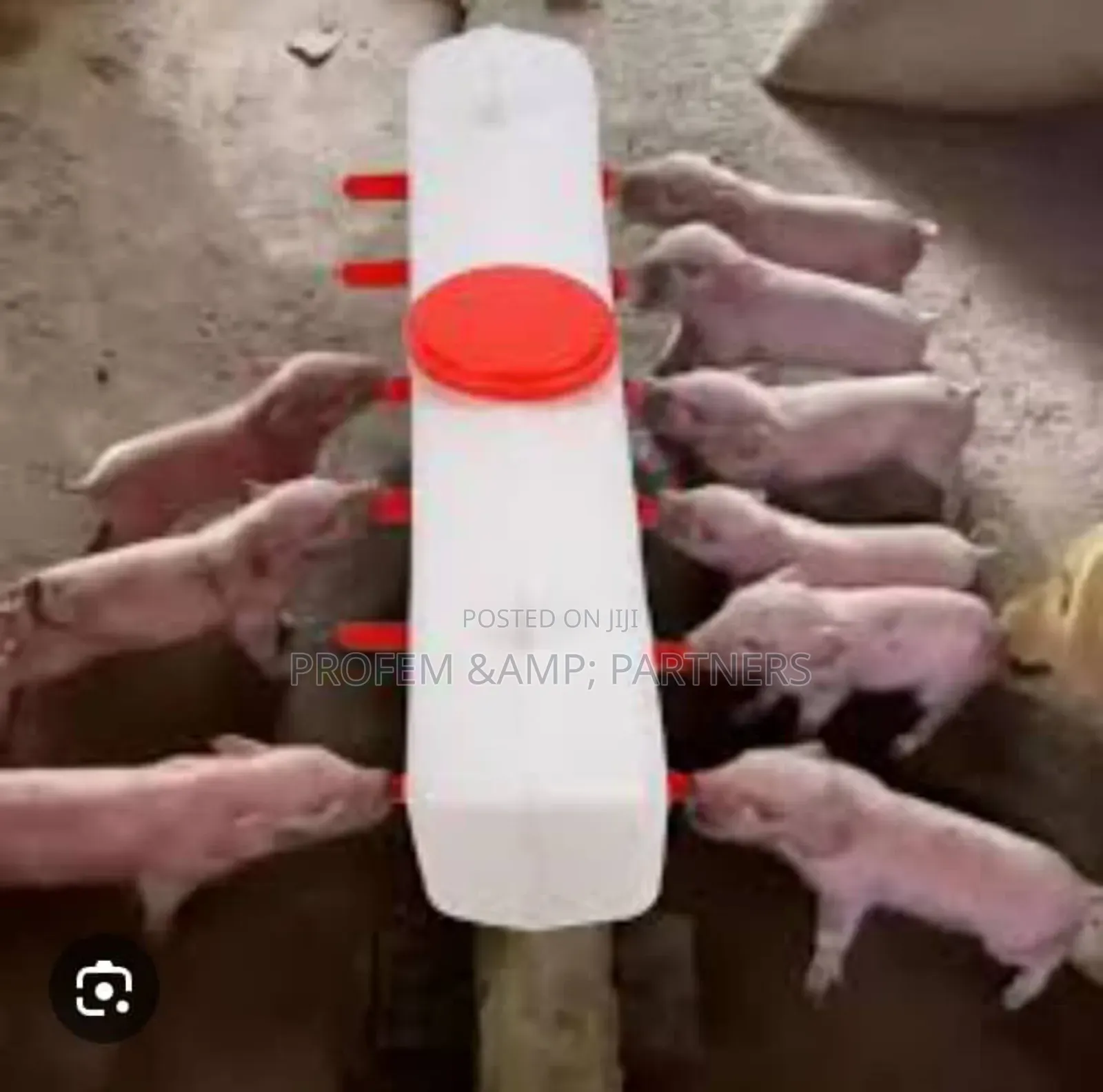 Milk Feeder