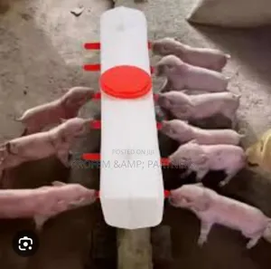 Milk Feeder