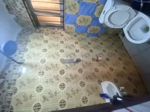 Furnished Mini Flat in Omole Phase 2 for rent