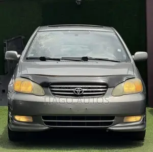 Toyota Corolla 2003 Gray
