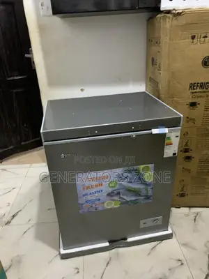 Freshness Guaranteed – Snowsea Bd-178 Freezer (132l)