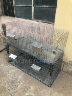 Four Compartment Rabbit Cage