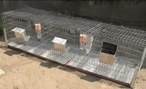 Double/ Three Rooms Rabbit Cage for Pets