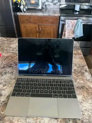 Laptop Apple MacBook 2015 8GB Intel Core M SSD 256GB