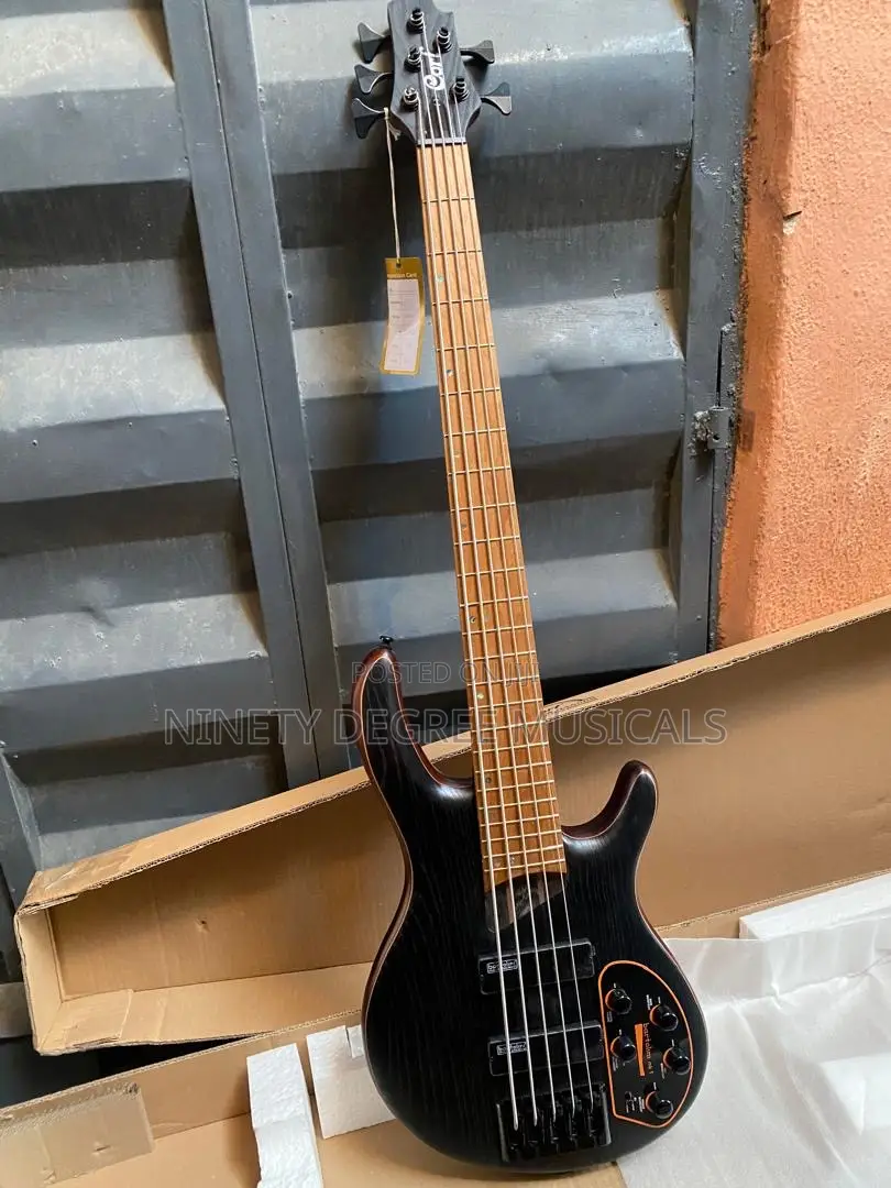 Cort B5 Element