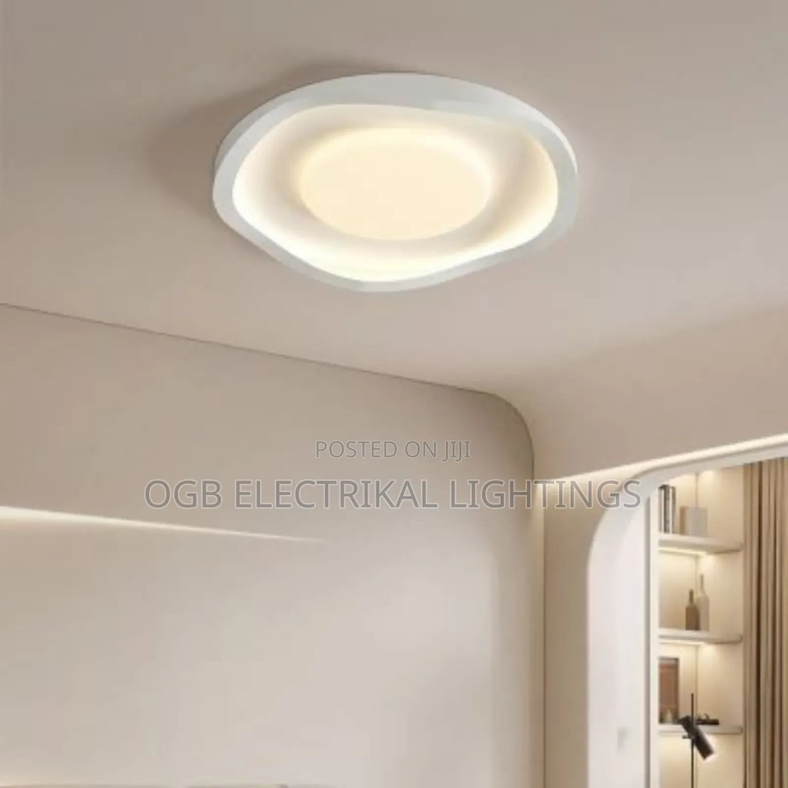 Luxury Ceiling Lights