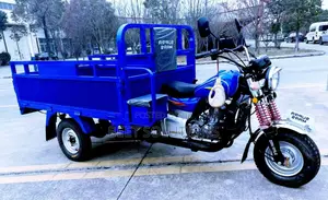 New Tricycle 2025 Blue