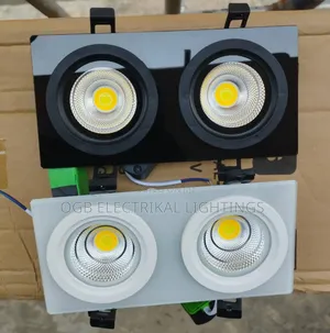 Double Colour Spot Light