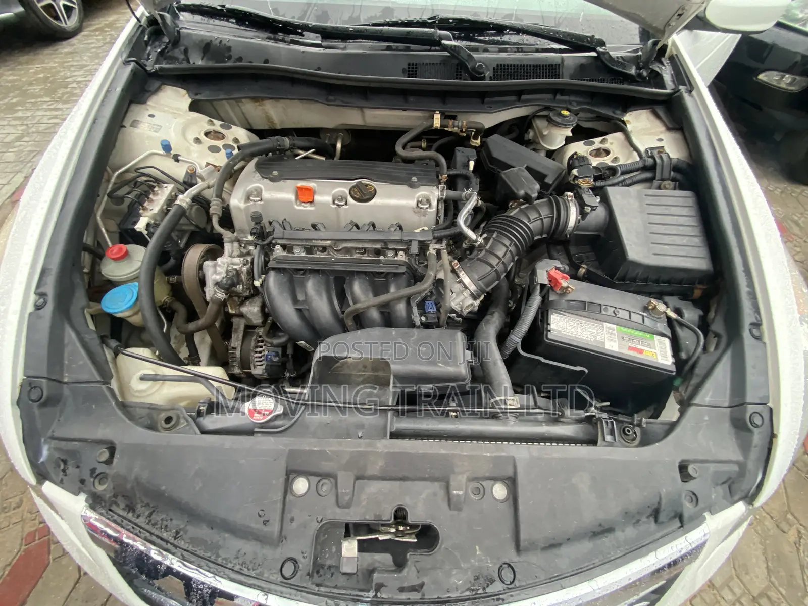 Honda Accord 2012 White