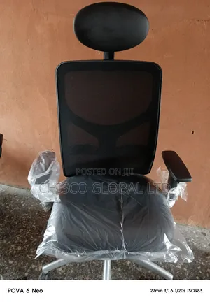 Office Chair (Orthopedic)