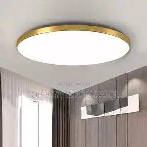 Classic Modern Led Ceiling Light