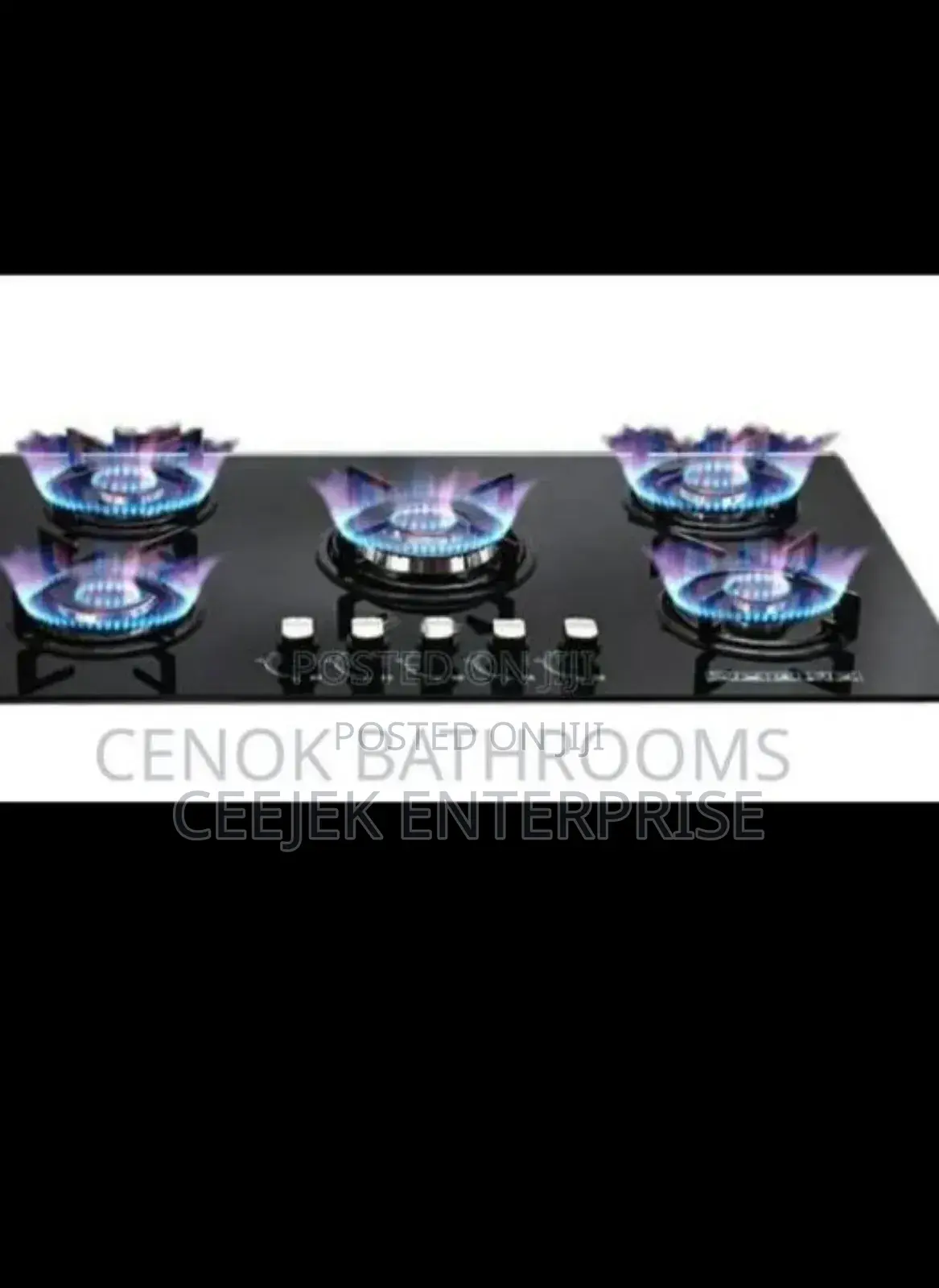 Heavy 5 Burner Gas