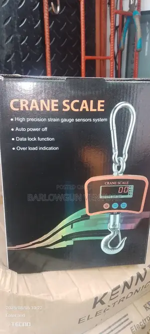 Crane Scale