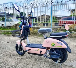 Electric Bike