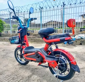 Eco-Friendly Electric Bike