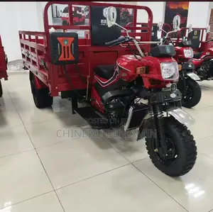New Tricycle 2024 Black