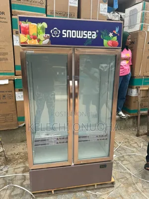 Snowsea Side by Side Show Glass Fridge