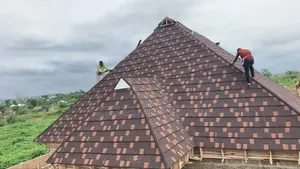 Shingles Design Coffee Color