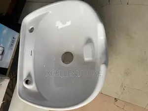 Saloon Hair Wash Basin