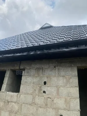 Steptile and Under Cladding