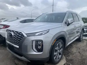 Hyundai Palisade Calligraphy 2021 Gray