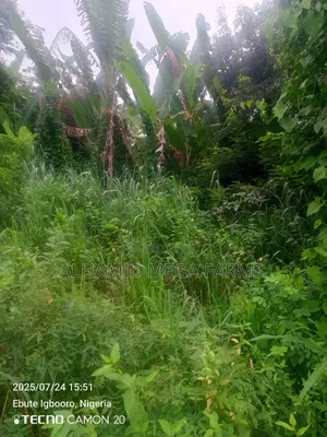 725 Acres of Farmland for Sale With Coo
