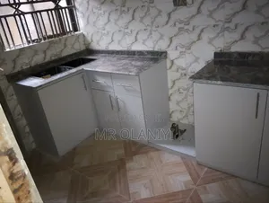 Grey Kitchen Cabinet